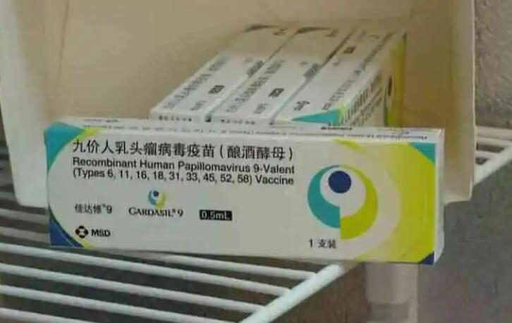 2024上海试管儿子医院成功率高吗，费用一般多少钱