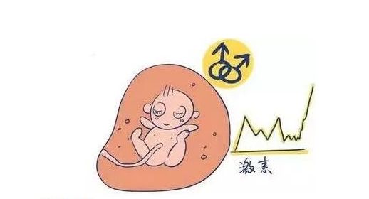 2024上海三代试管婴儿儿子费用多少可以报销吗