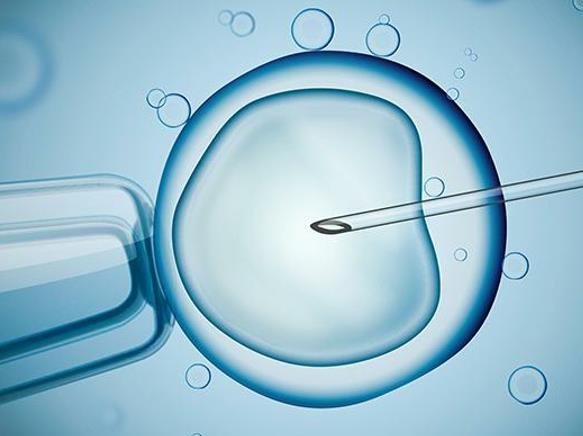 2024银川正规助孕机构冷冻卵子一年费用是多少