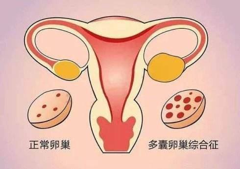 东莞三代试管助孕机构都有哪些，附上主要种类和特点