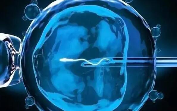 做试管婴儿胚胎移植手术还用男人吗内附原因分析