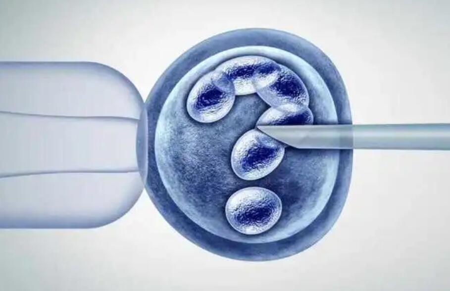 移植两个鲜胚不一定都成功，移植成功率有多少看完就知道
