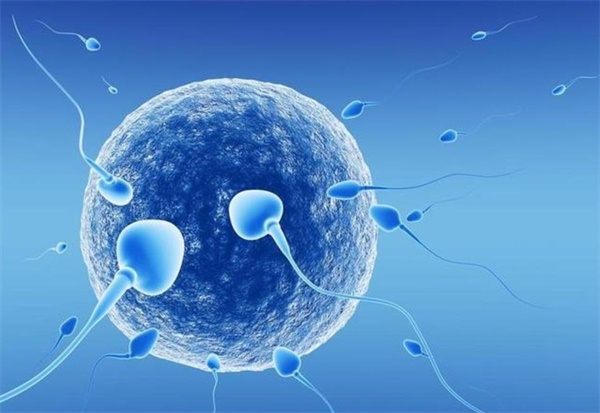 日本试管技术优势附试管助孕过程中的注意事项