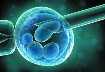 4aa囊胚移植不比4bb囊胚成功率高，医更爱移植后者原因在这里