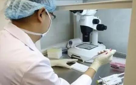 泰国嗣道遗传与不育诊疗中心试管婴儿技术排名第几