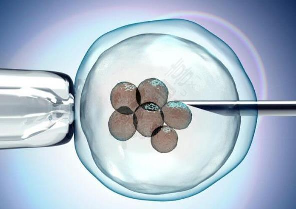 试管胚胎着床时间受哪些因素影响