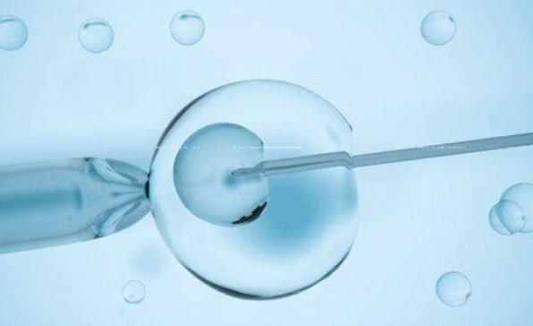 多囊卵巢患者做试管选择拮抗剂方案移植囊胚一次成功率高吗