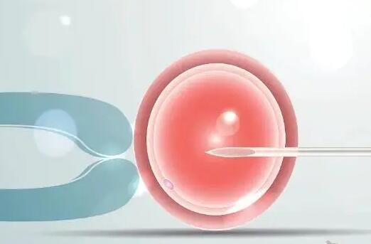 试管时卵泡多大开始取卵比较好卵泡大小对试管婴儿的影响